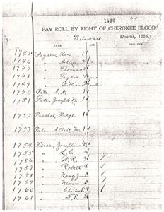 Pay Roll of Cherokee Blood, Delaware District, 1886, 1973-01-01 - 1978-12-31