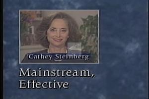 1992 - U.S. House of Representatives - Cathey Weiss - Steinberg - &quot;Comparison&quot;, 1992-01-01 - 1992-12-31