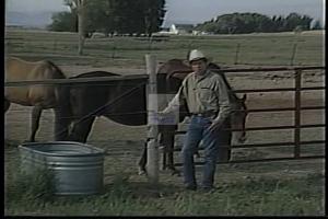 1994 - U.S. House of Representatives - Robert Parks (Bob) - Schuster - "Cannon", 1994-01-01 - 1994-12-01