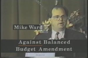 1994 - U.S. House of Representatives - Susan B. - Stokes - &quot;Ward 15&quot;, 1994-01-01 - 1994-12-01