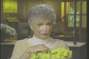 1994 - U.S. House of Representatives - Lee Herbert - Hamilton - &quot;Senior citizens&quot;, 1994-01-01 - 1994-12-01