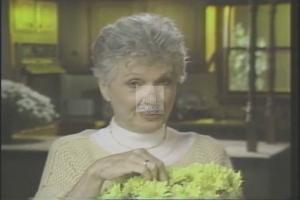 1994 - U.S. House of Representatives - Lee Herbert - Hamilton - &quot;Senior Citizen&quot;, 1994-01-01 - 1994-12-01