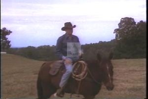 1994 - U.S. House of Representatives - Charles (Charlie) - Wilson - &quot;Buck - Revised&quot;, 1994-01-01 - 1994-12-01