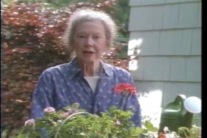 1996 - United States House of Representatives Offices and Issue Campaigns - Seastrand Andrea H. - &quot;Medicare-Seastrand&quot;, 1996-01-01 - 1996-12-31
