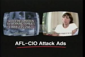 1996 - United States House of Representatives Offices and Issue Campaigns - Seastrand Andrea H. - &quot;Big-CA22&quot;, 1996-01-01 - 1996-12-31