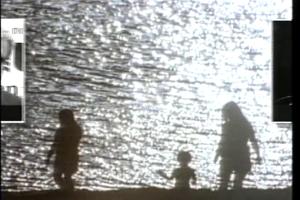 1996 - United States House of Representatives Offices and Issue Campaigns - Capps Walter H. - &quot;Clean Water&quot;, 1996-01-01 - 1996-12-31