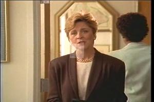 1996 - United States House of Representatives Offices and Issue Campaigns - Pro-Republican Vote (Laws Budget) - &quot;Reform-Longley&quot;, 1996-01-01 - 1996-12-31