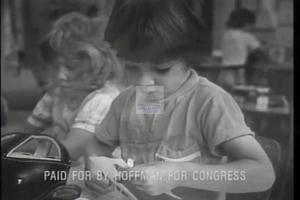1996 - United States House of Representatives Offices and Issue Campaigns - Hoffman Jay - &quot;How Many&quot;, 1996-01-01 - 1996-12-31