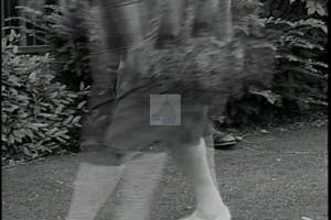 1996 - United States House of Representatives Offices and Issue Campaigns - Blute Peter I. - &quot;Footsteps&quot;, 1996-01-01 - 1996-12-31