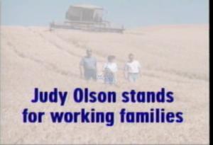 1996 - United States House of Representatives Offices and Issue Campaigns - Olson Judy - &quot;Plan&quot;, 1996-01-01 - 1996-12-31