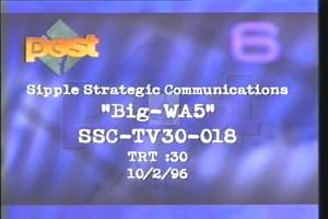 1996 - United States House of Representatives Offices and Issue Campaigns - Anti-Judy Olson/AFL-CIO - &quot;Big - WA5&quot;, 1996-01-01 - 1996-12-31