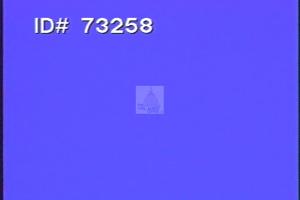 1996 - United States House of Representatives Offices and Issue Campaigns - Fricano Tom - &quot;Bible&quot;, 1996-01-01 - 1996-12-31