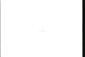 1996 - United States House of Representatives Offices and Issue Campaigns - Bilbray Brian Phillip - &quot;Ed Asner&quot;, 1996-01-01 - 1996-12-31