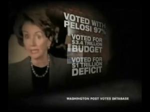 2010 - U.S. House of Representatives - Anti-Martin Hienrich - &quot;Inexcusable&quot;, 2010-01-01 - 2010-12-31