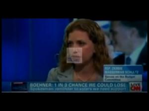 2012 - United States House of Representatives Offices and Issue Campaigns - Karen Harrington - &quot;Debbie Wasserman-Schultz&#39;s Extremism&quot;, 2012-01-01 - 2012-12-31