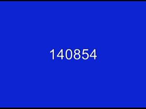 2012 - United States House of Representatives Offices and Issue Campaigns - Adkins Bill - &quot;A True Blue for Kentucky - Adkins&quot;, 2012-01-01 - 2012-12-31